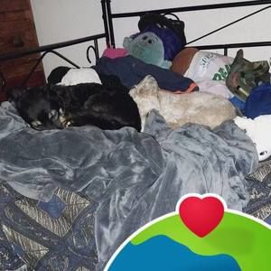 Meet your Posher, Starsky